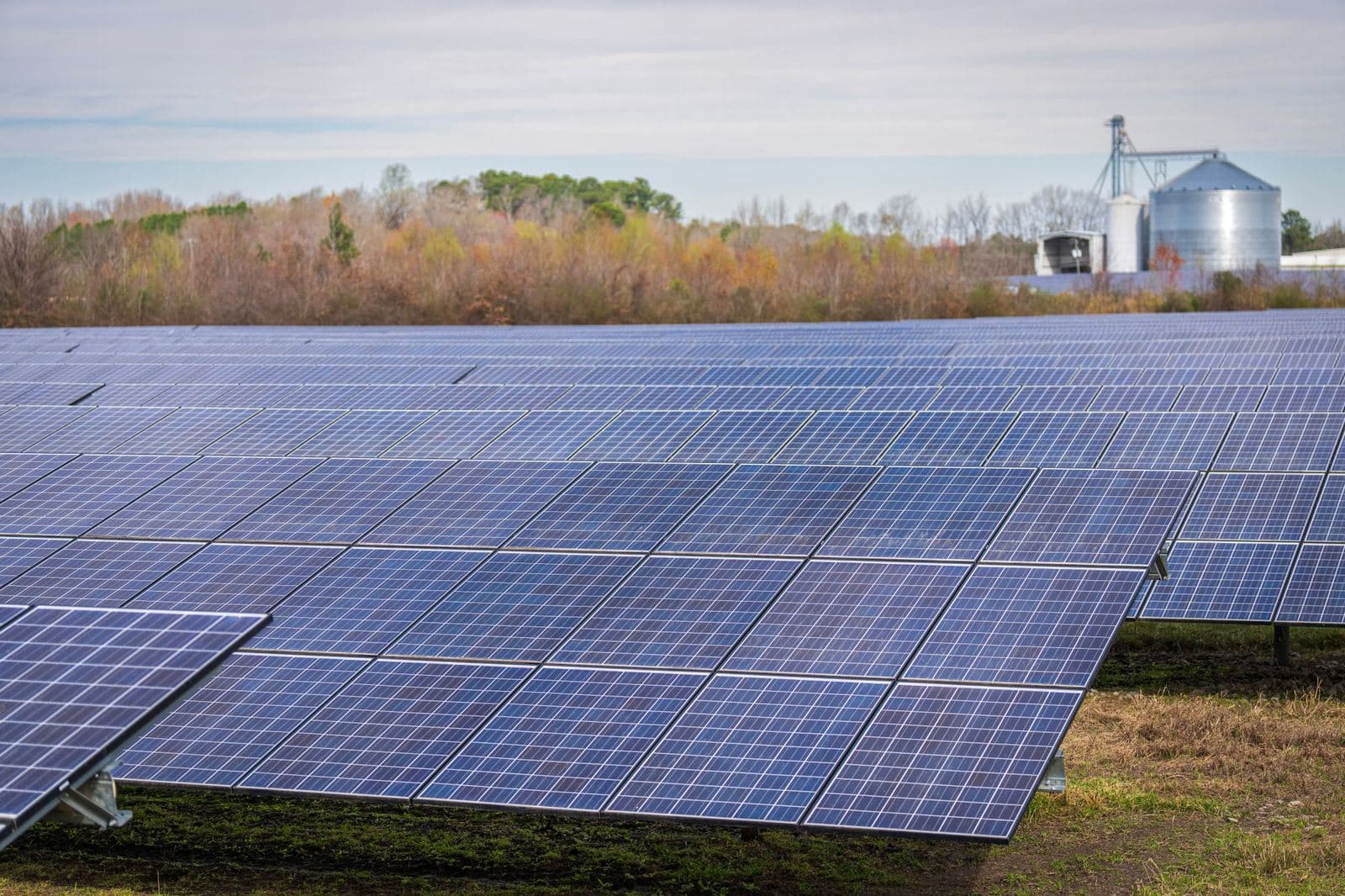 Solar panel field under an open sky